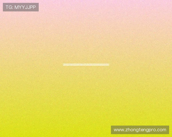赢彩娱乐为足球迷提供专业世界杯分析,赛事预测与投注指南一站式服务